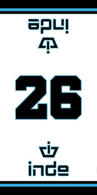 מגבת חוף INDE 26